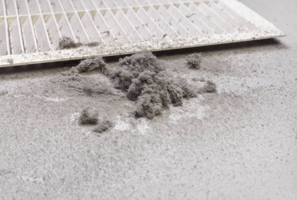 Best Professional Duct Cleaning Services  in Buena Vista, GA