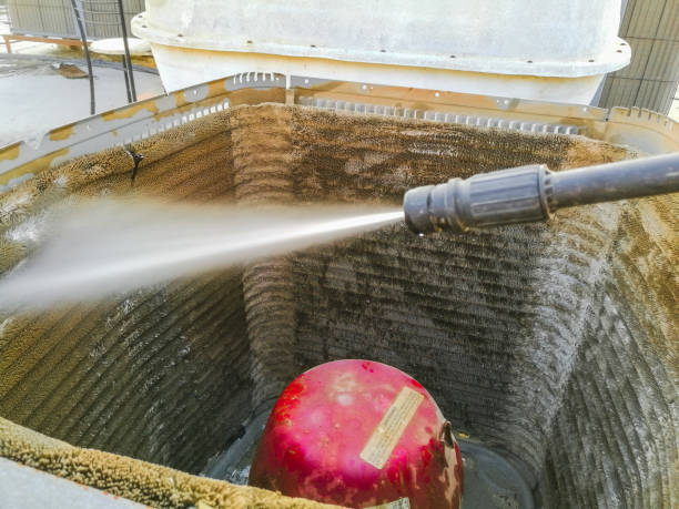 Best Dryer Vent Cleaning Services  in Buena Vista, GA