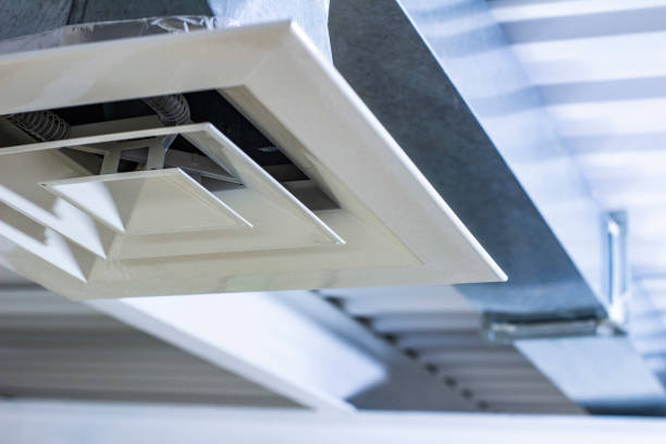Best Air Vent Cleaning Services  in Buena Vista, GA